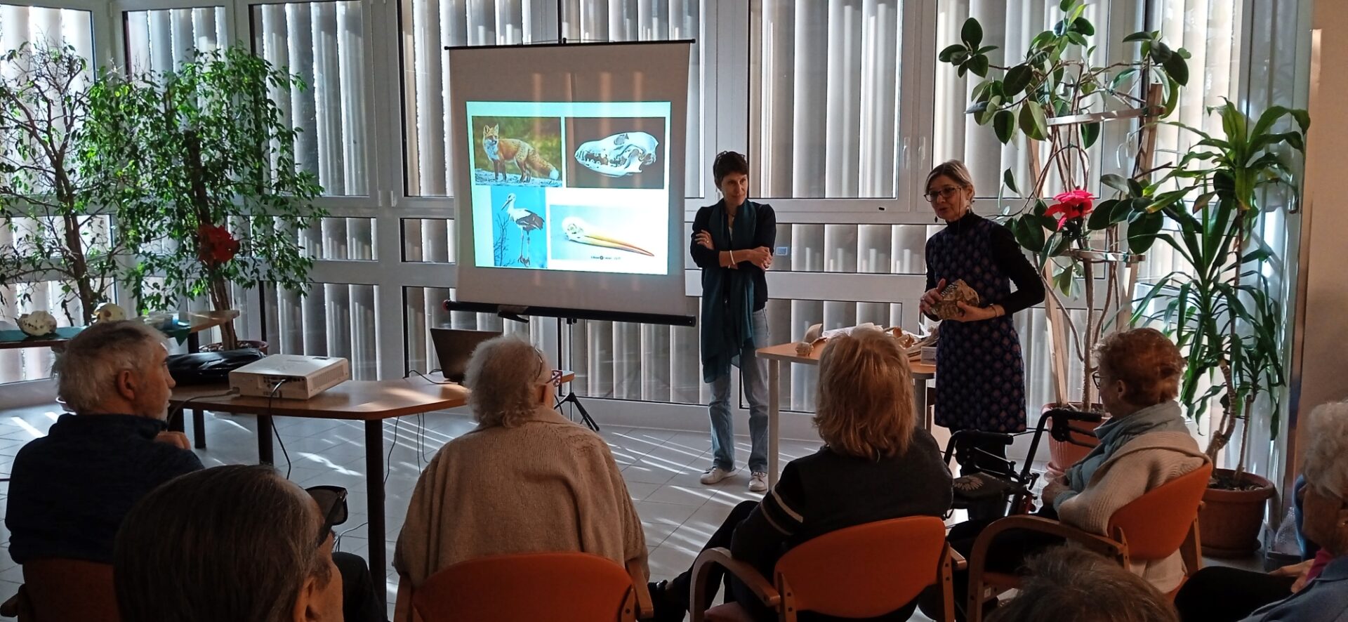 Featured image for “Musei in Valigia: con CAM per parlare di natura, dentizione e masticazione”